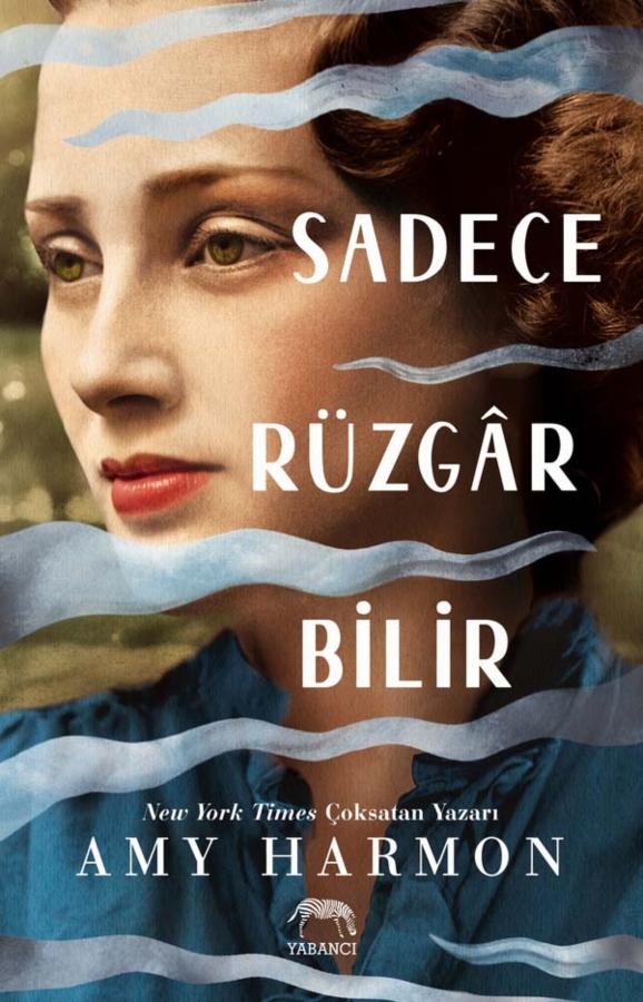 Resim Sadece Rüzgar Bilir (Karton Kapak)