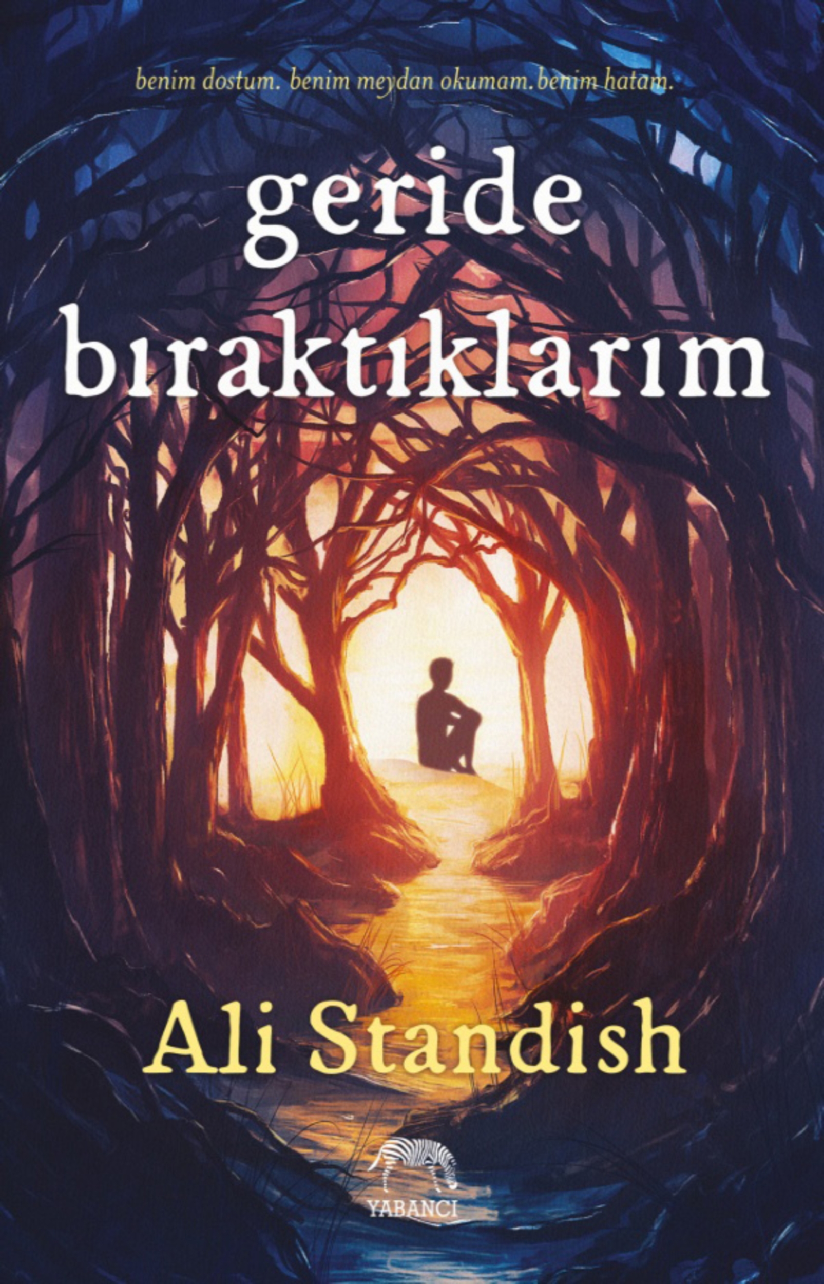 Resim Geride Bıraktıklarım