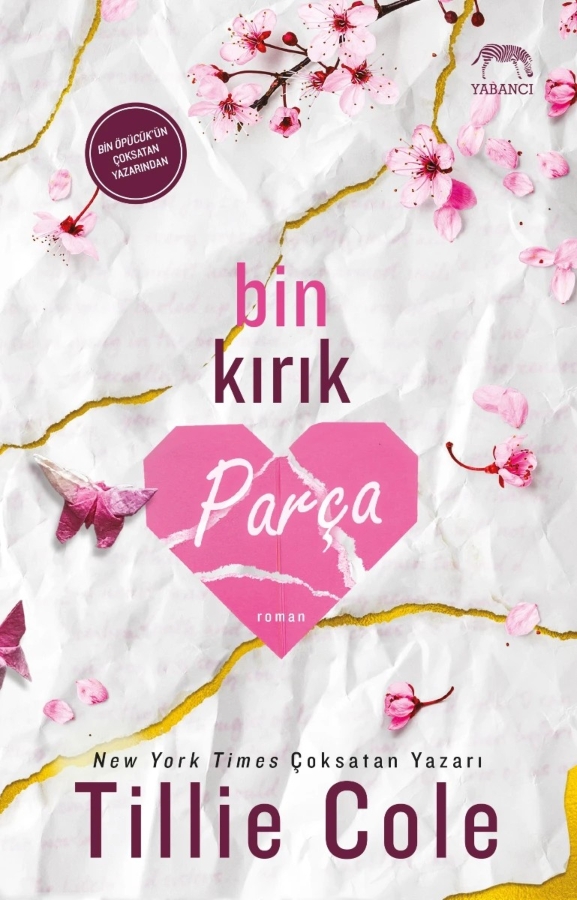 Resim Bin Kırık Parça