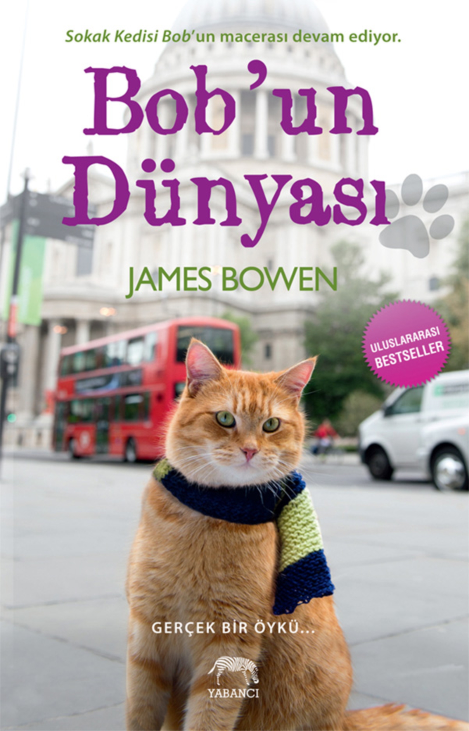 Resim Bob'un Dünyası