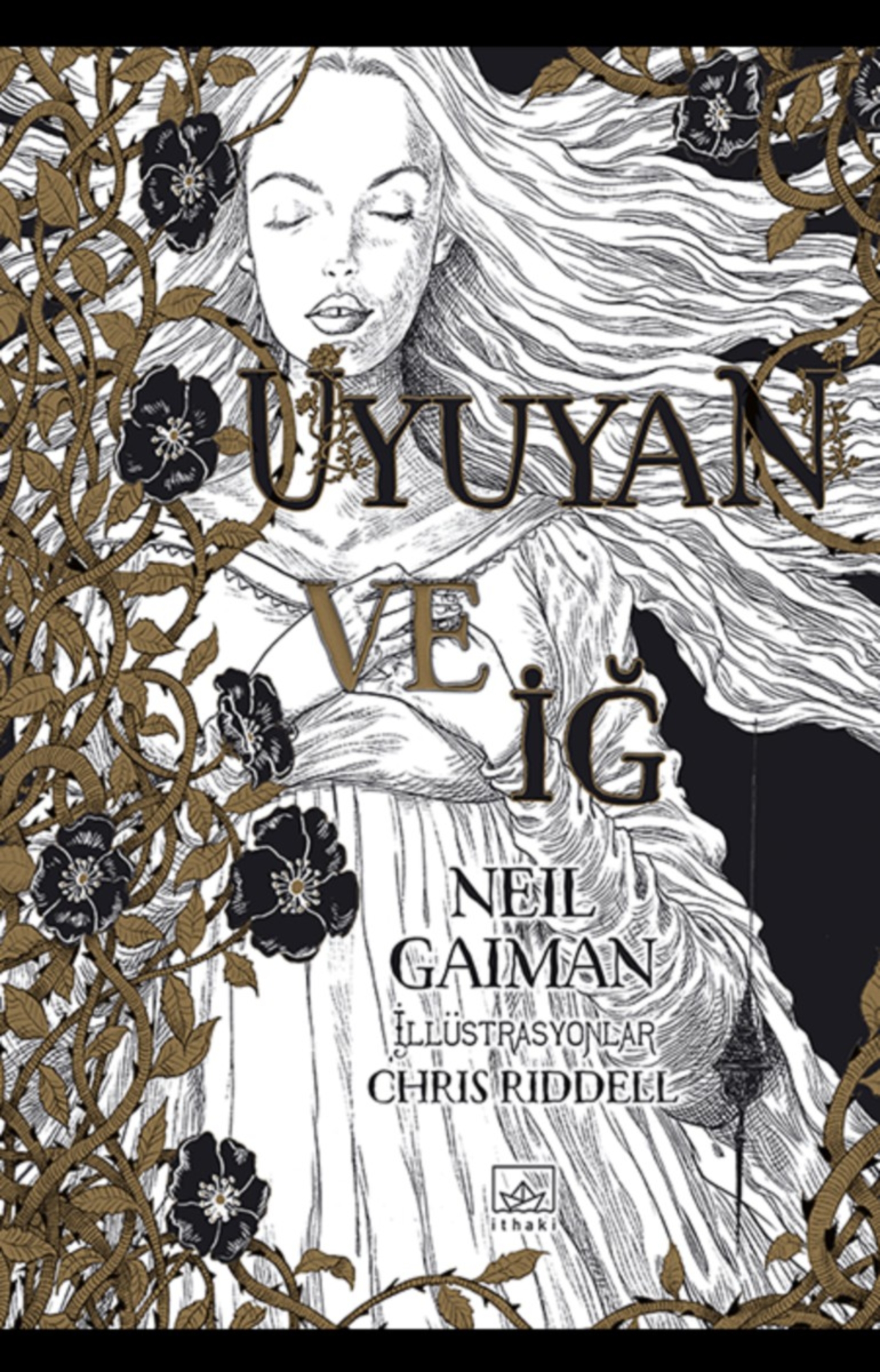 Resim Uyuyan Ve İğ
