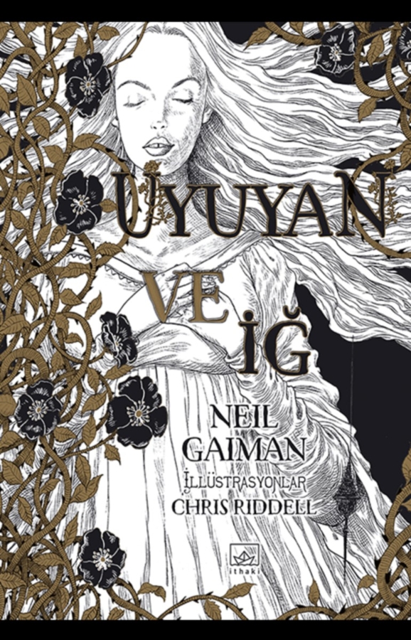 Resim Uyuyan Ve İğ