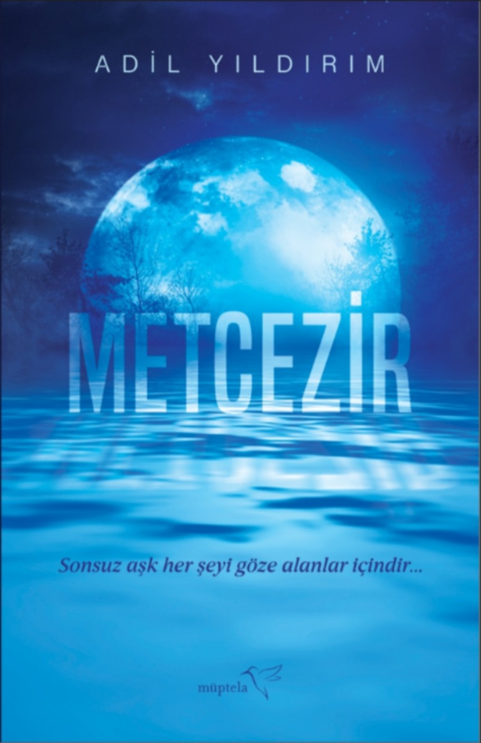 Resim Metcezir