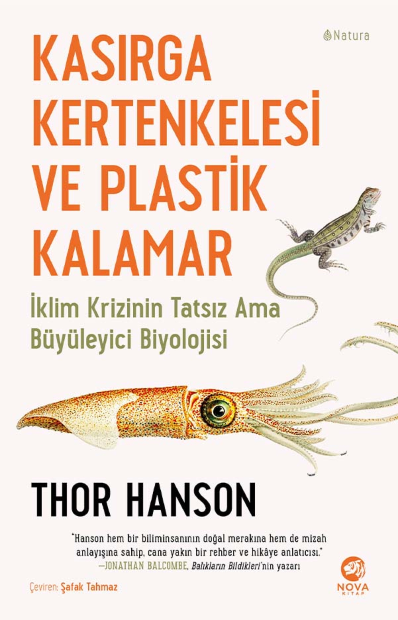 Resim Kasırga Kertengelesi Ve Plastik Kalamar