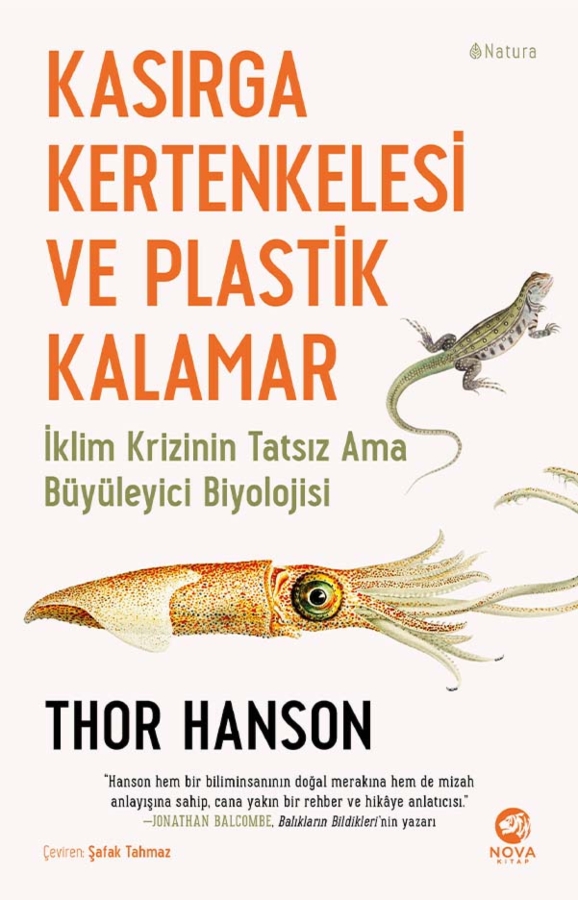Resim Kasırga Kertengelesi Ve Plastik Kalamar