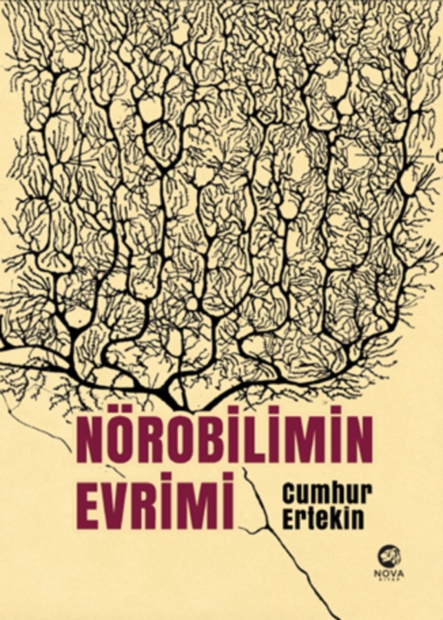 Resim Nörobilimin Evrimi