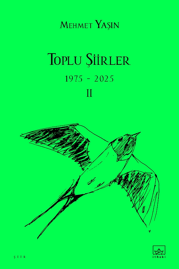 Resim Toplu Şiirler Iı
