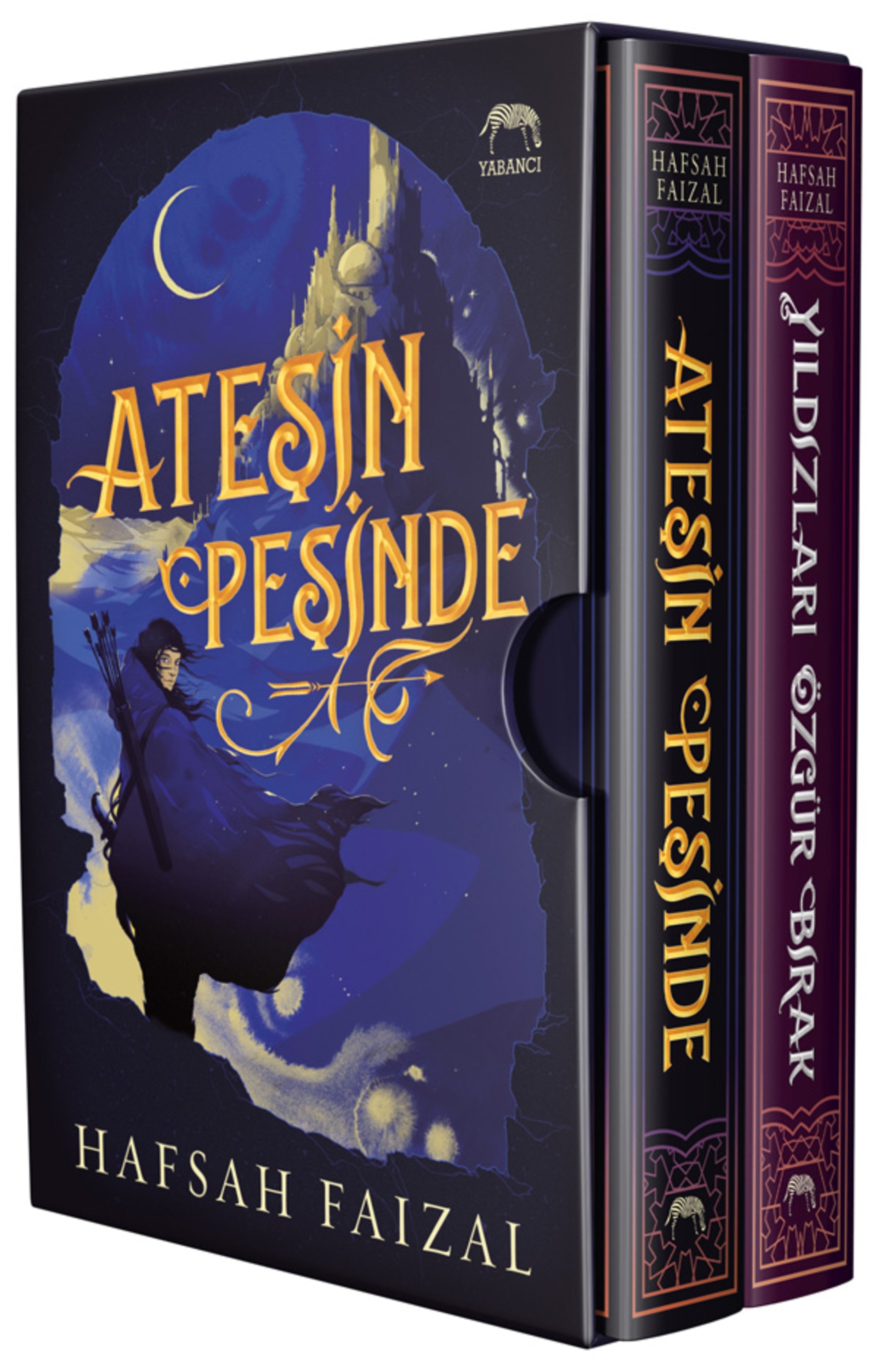 Resim Ateşin Peşinde Serisi Kutulu Set (2 Kitap Takım)