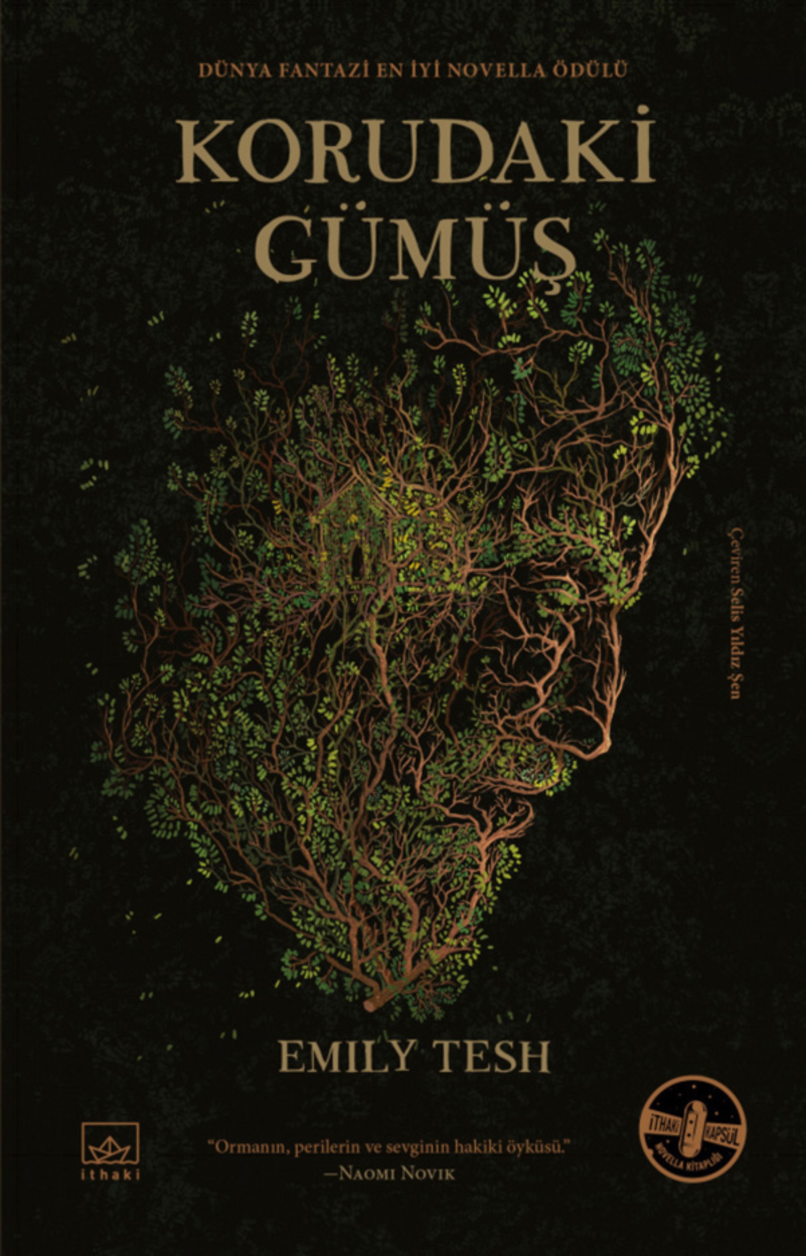 Resim Korudaki Gümüş