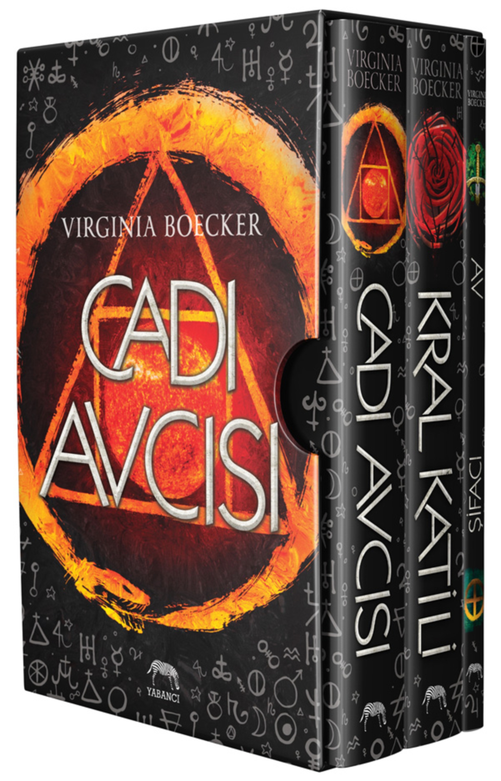 Resim Cadı Avcısı Kutulu Set (3 Kitap Takım / Ciltli)