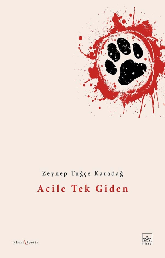 Resim Acile Tek Giden