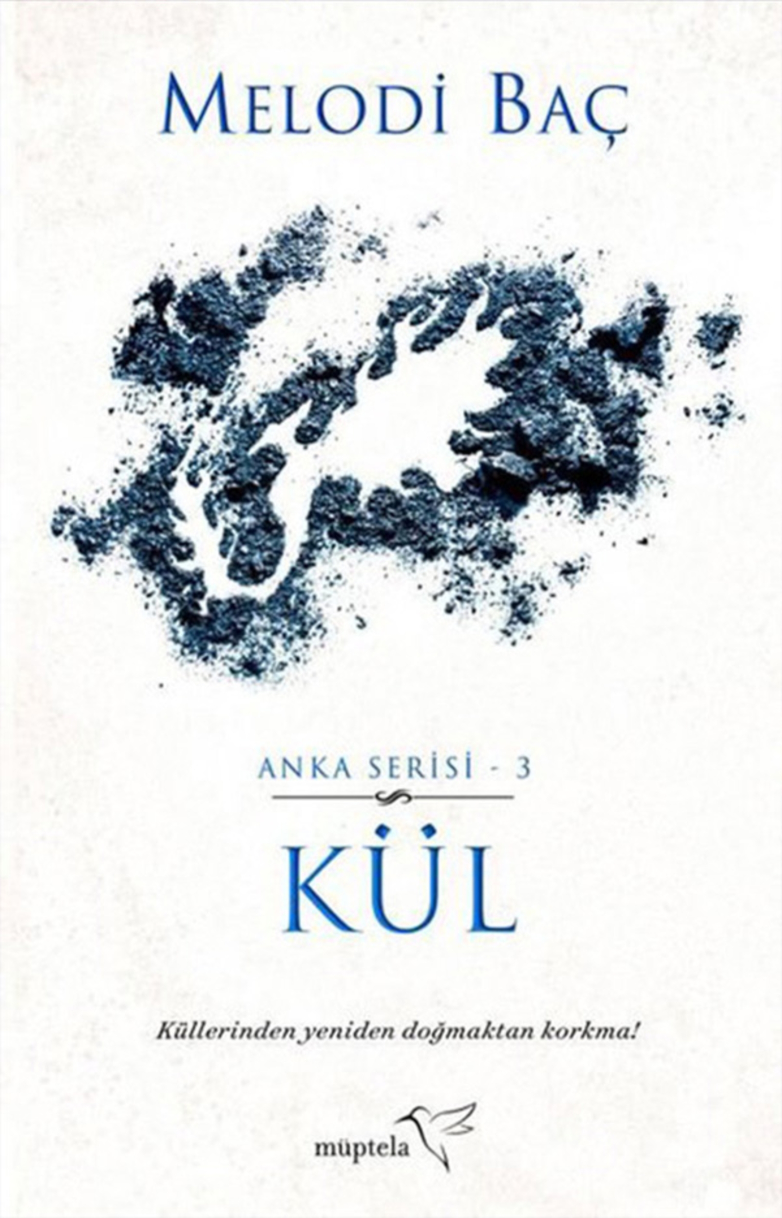 Resim Kül
