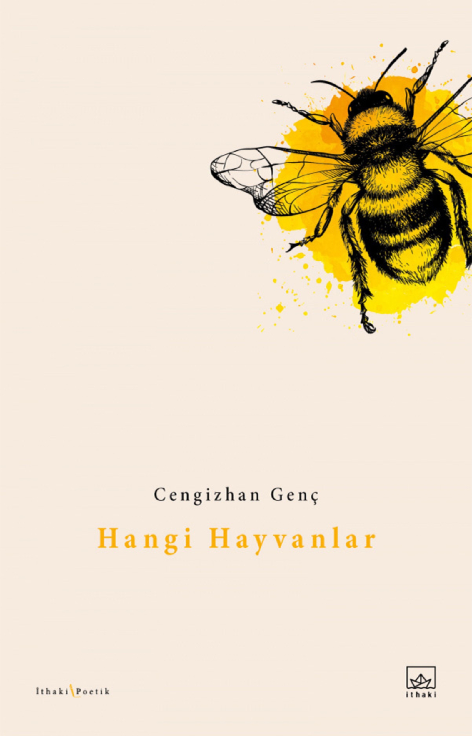 Resim Hangi Hayvanlar