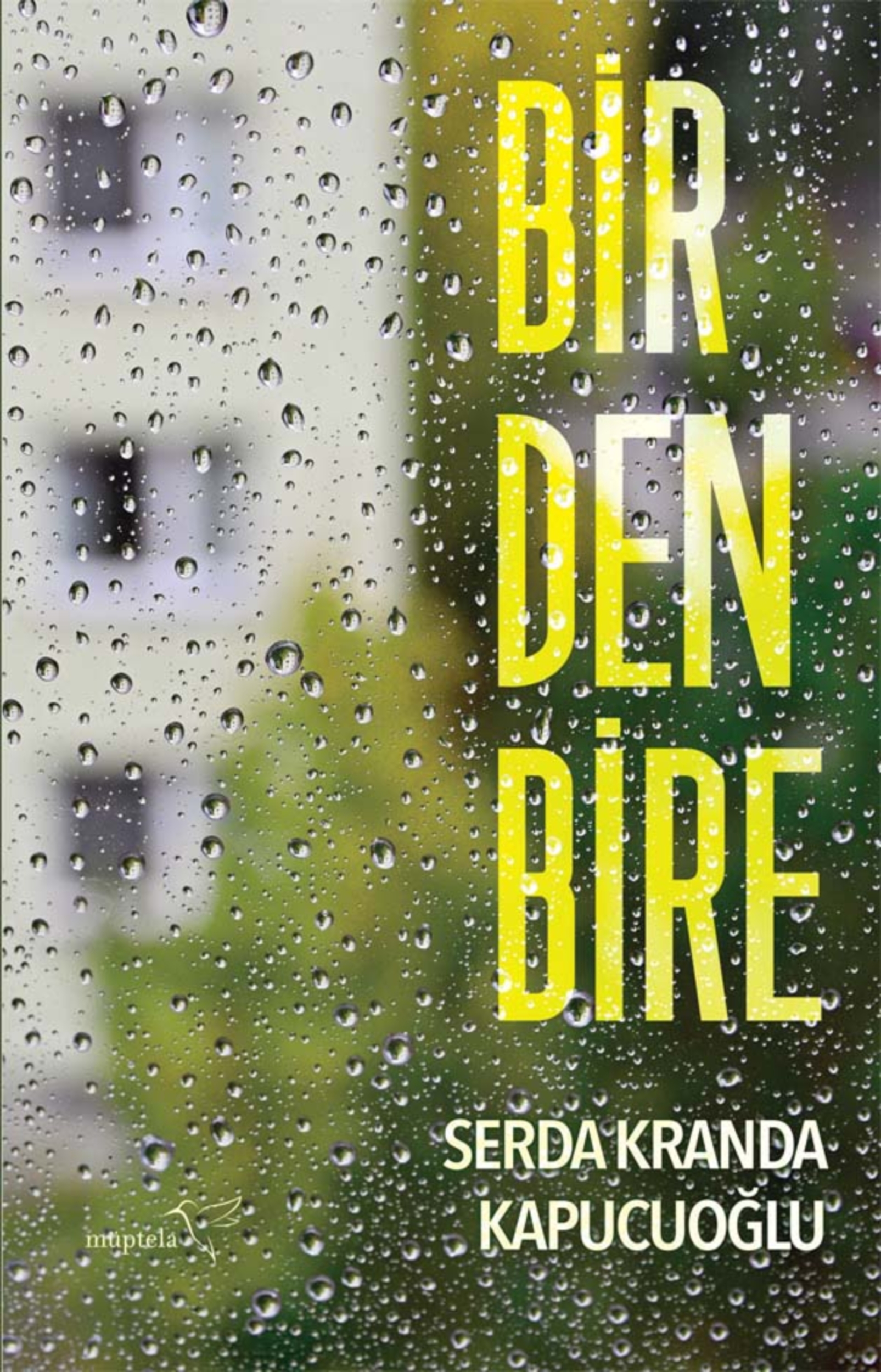 Resim Birdenbire