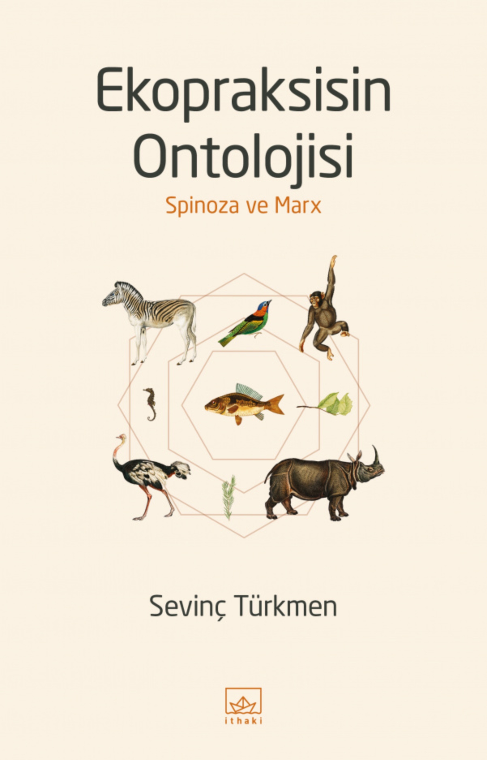 Resim Ekopraksisin Ontolojisi