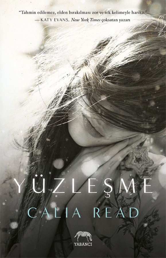 Resim Yüzleşme