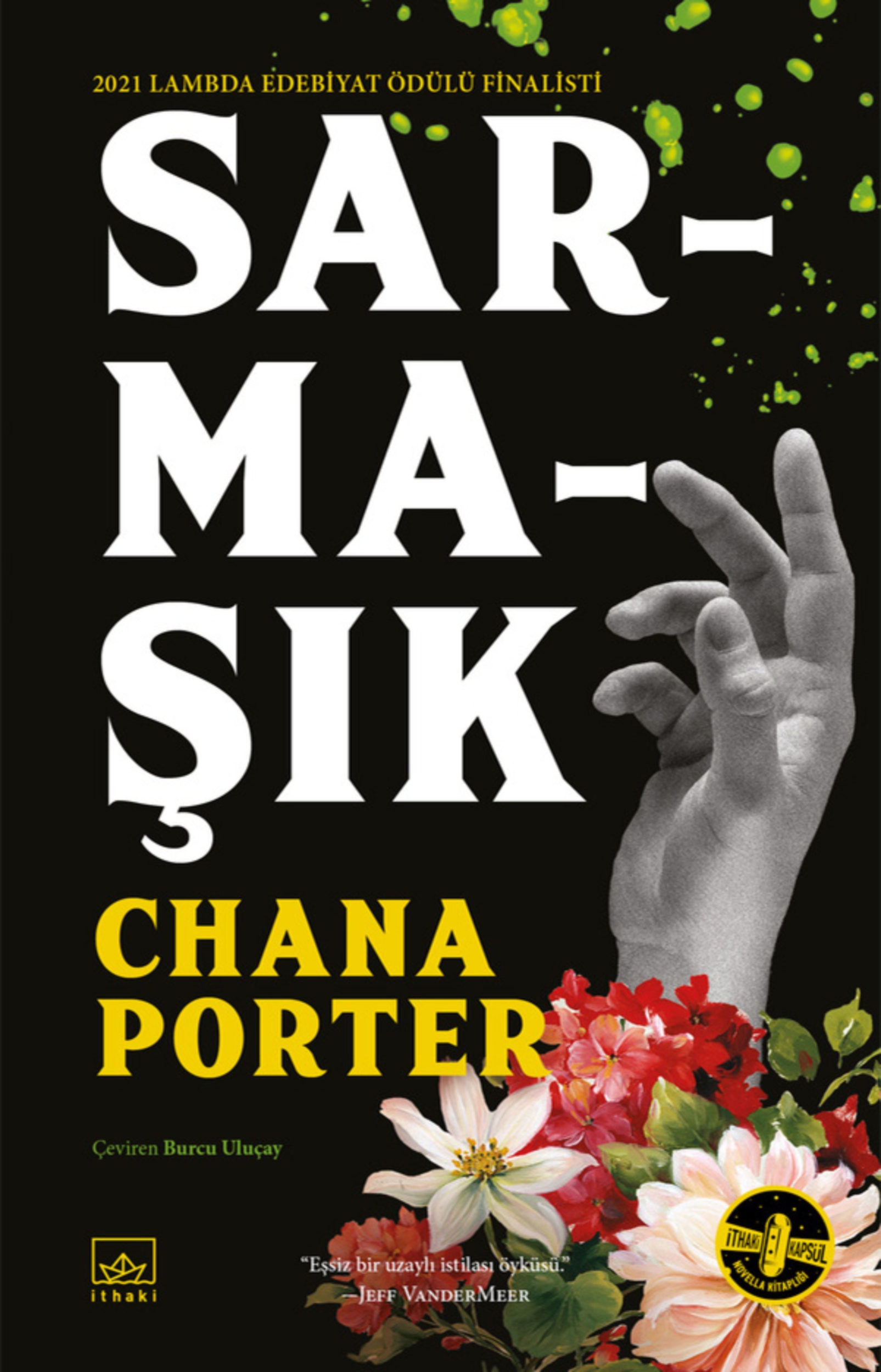 Resim Sarmaşık