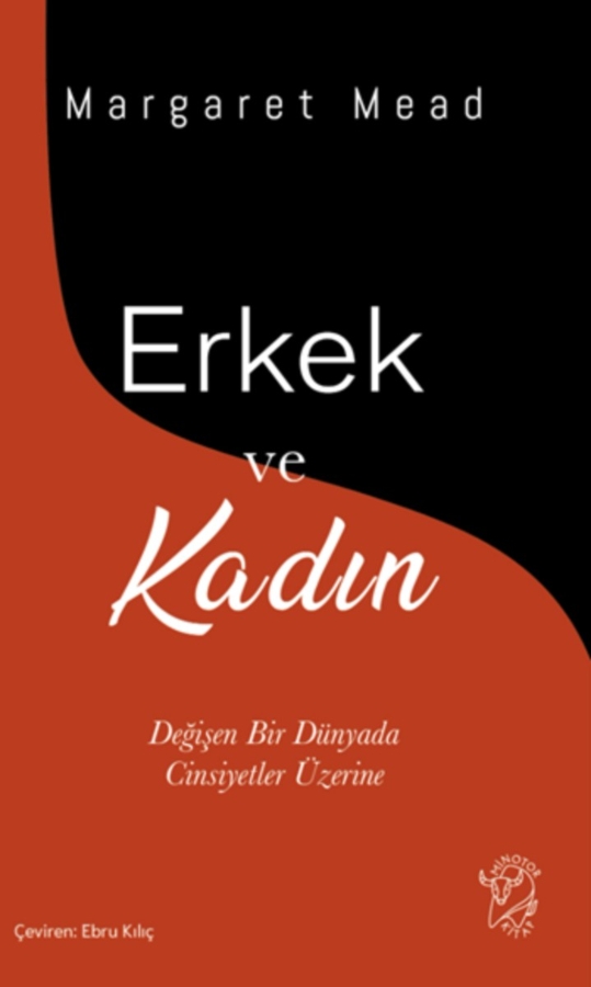 Resim Erkek Ve Kadın- Değişen Bir Dünyada Cinsiyetler Üzerine