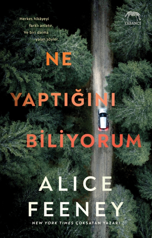 Resim Ne Yaptığını Biliyorum