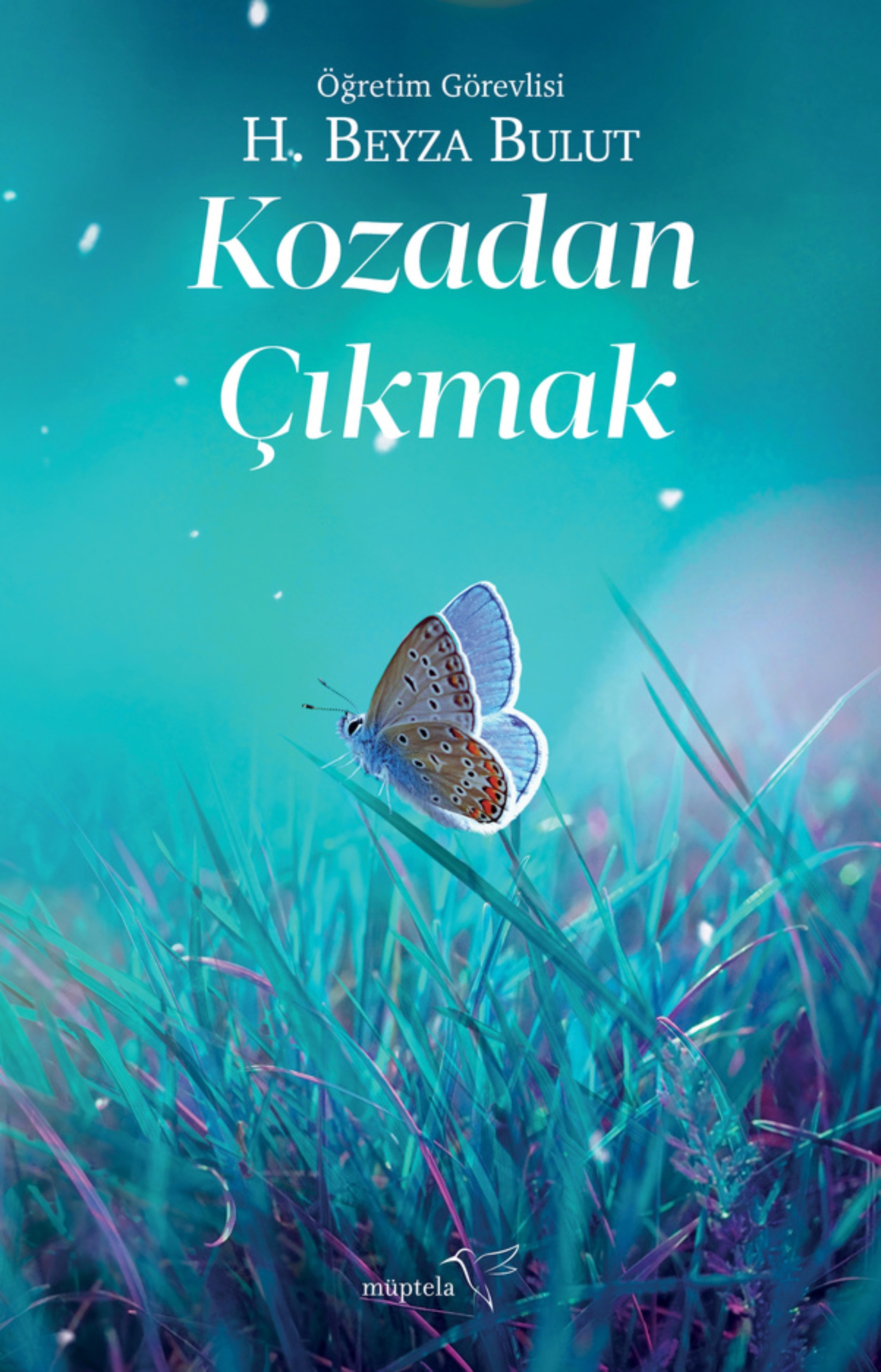 Resim Kozadan Çıkmak