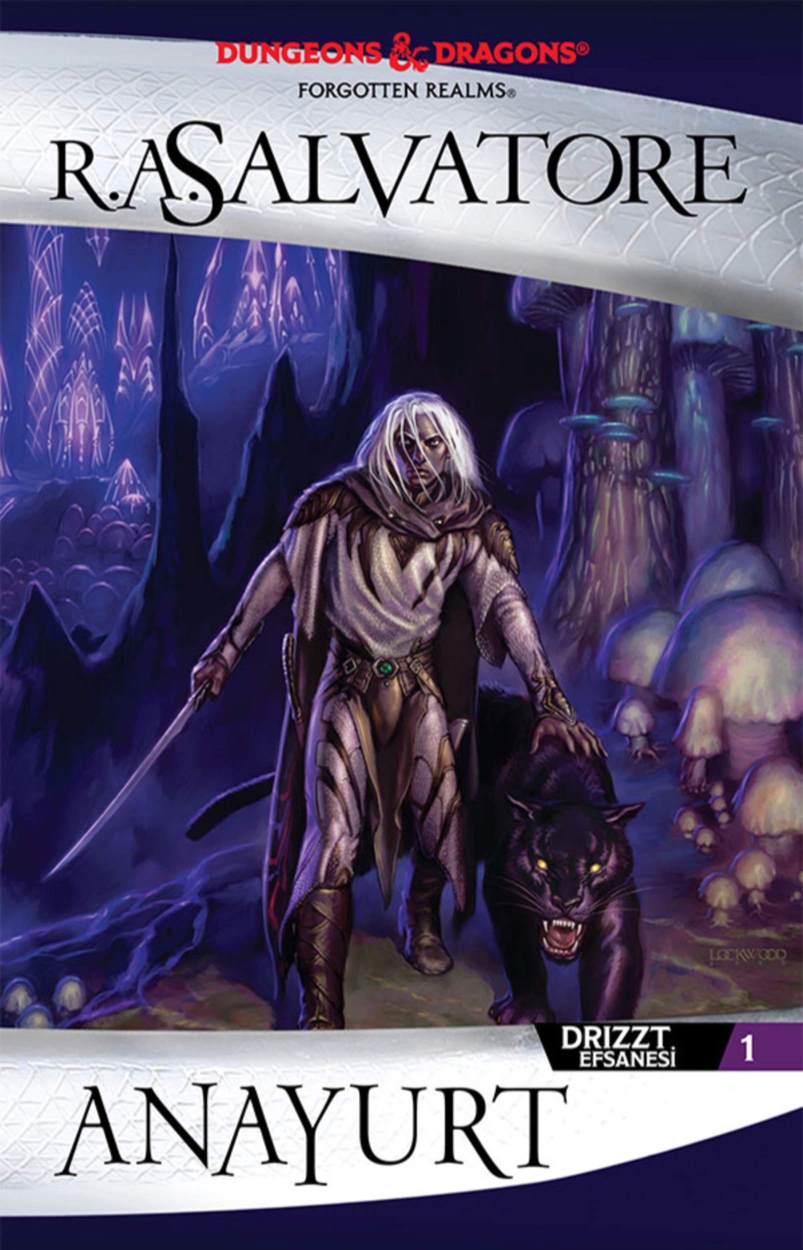 Resim Anayurt-Drizzt Efsanesi 1