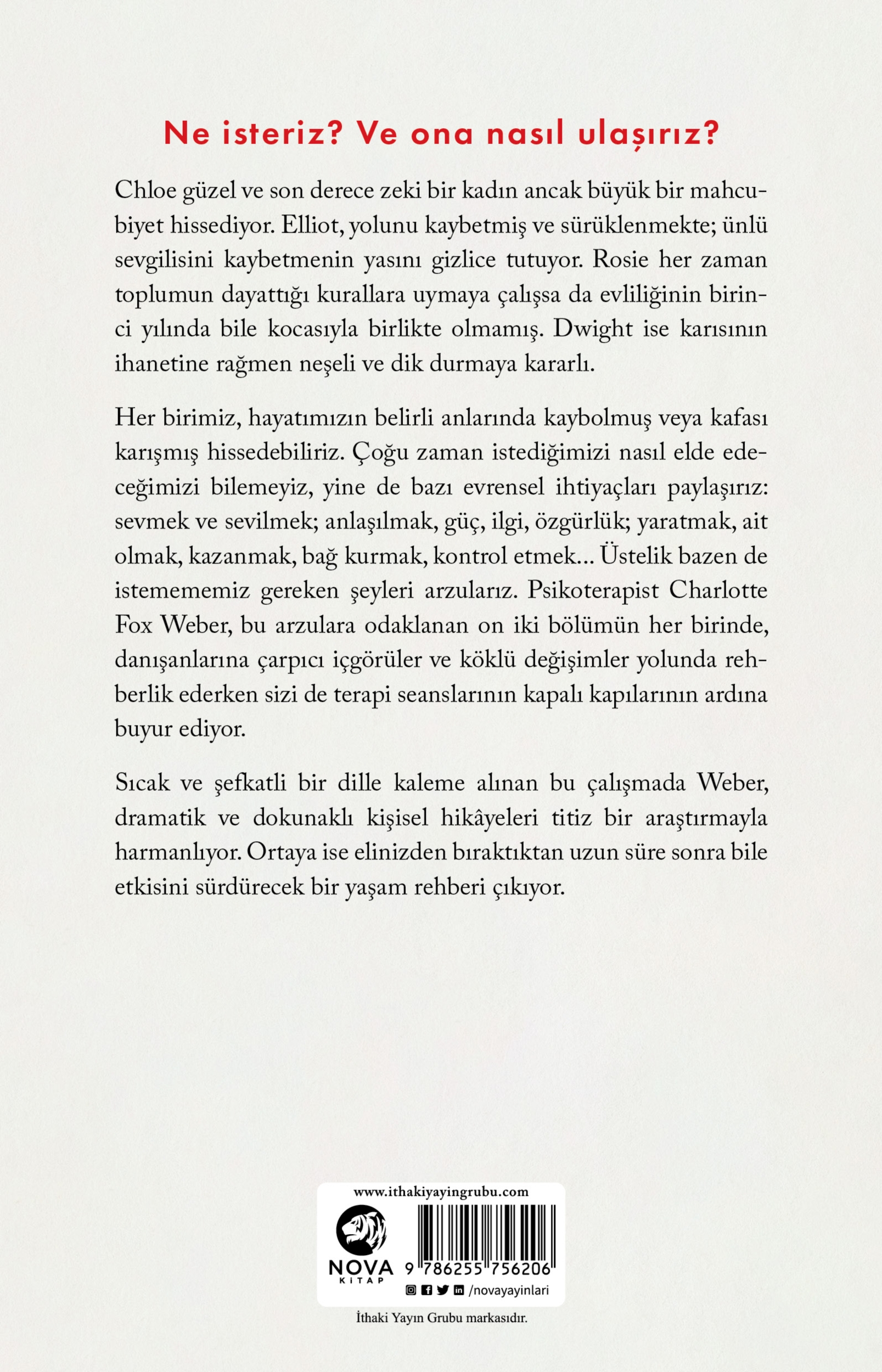 Resim Ne İsteriz: En Derin Arzularımızın On İkisine Yolculuk