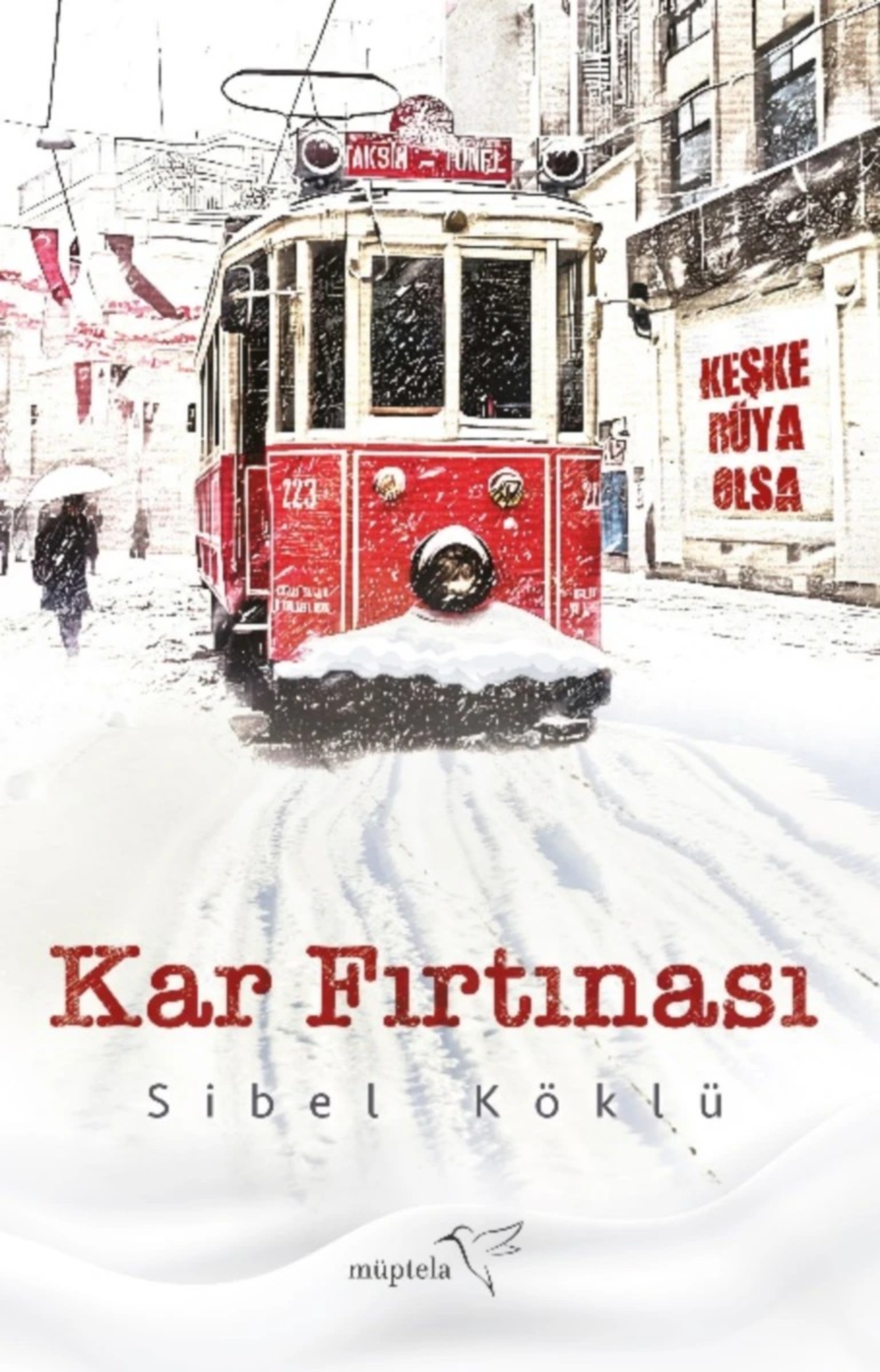 Resim Kar Fırtınası