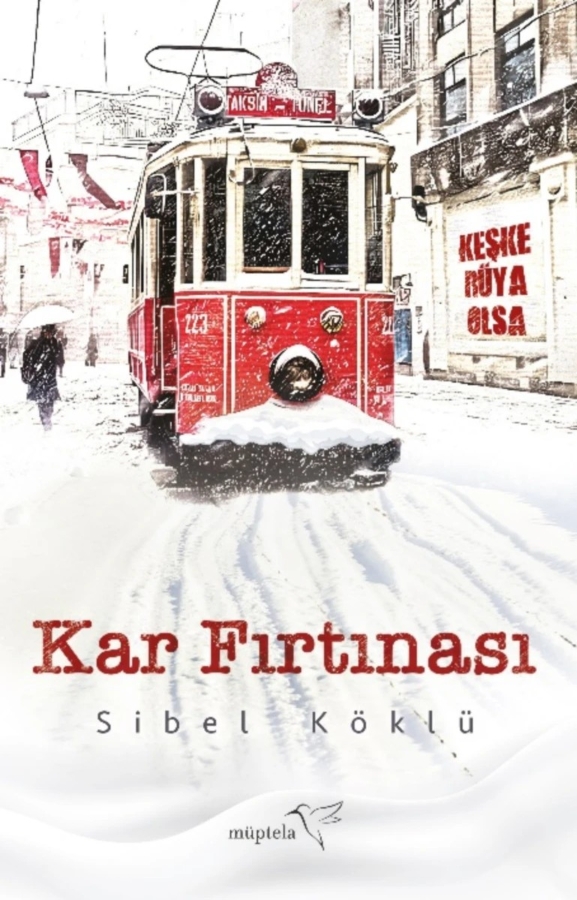 Resim Kar Fırtınası