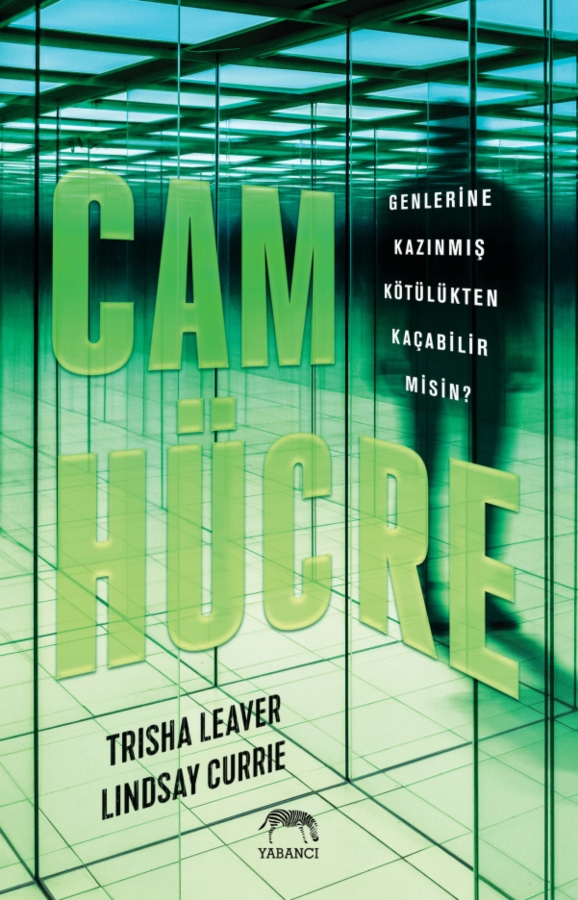 Resim Cam Hücre