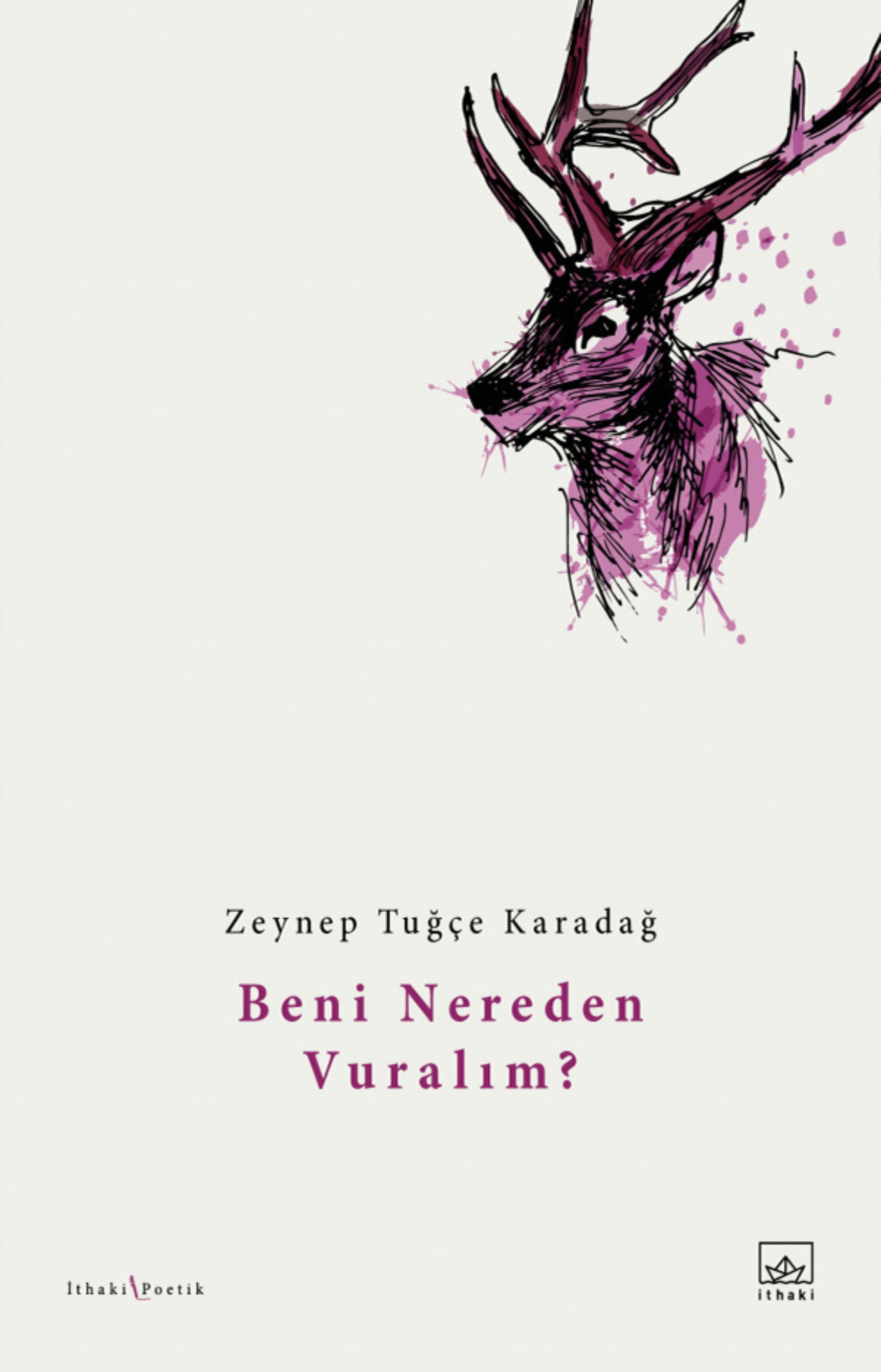 Resim Beni Nereden Vuralım