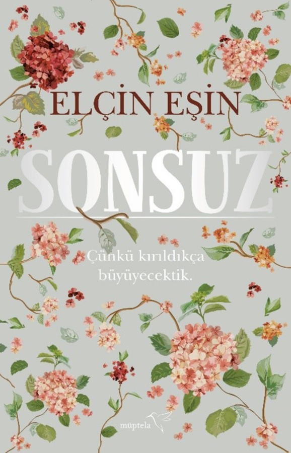 Resim Sonsuz