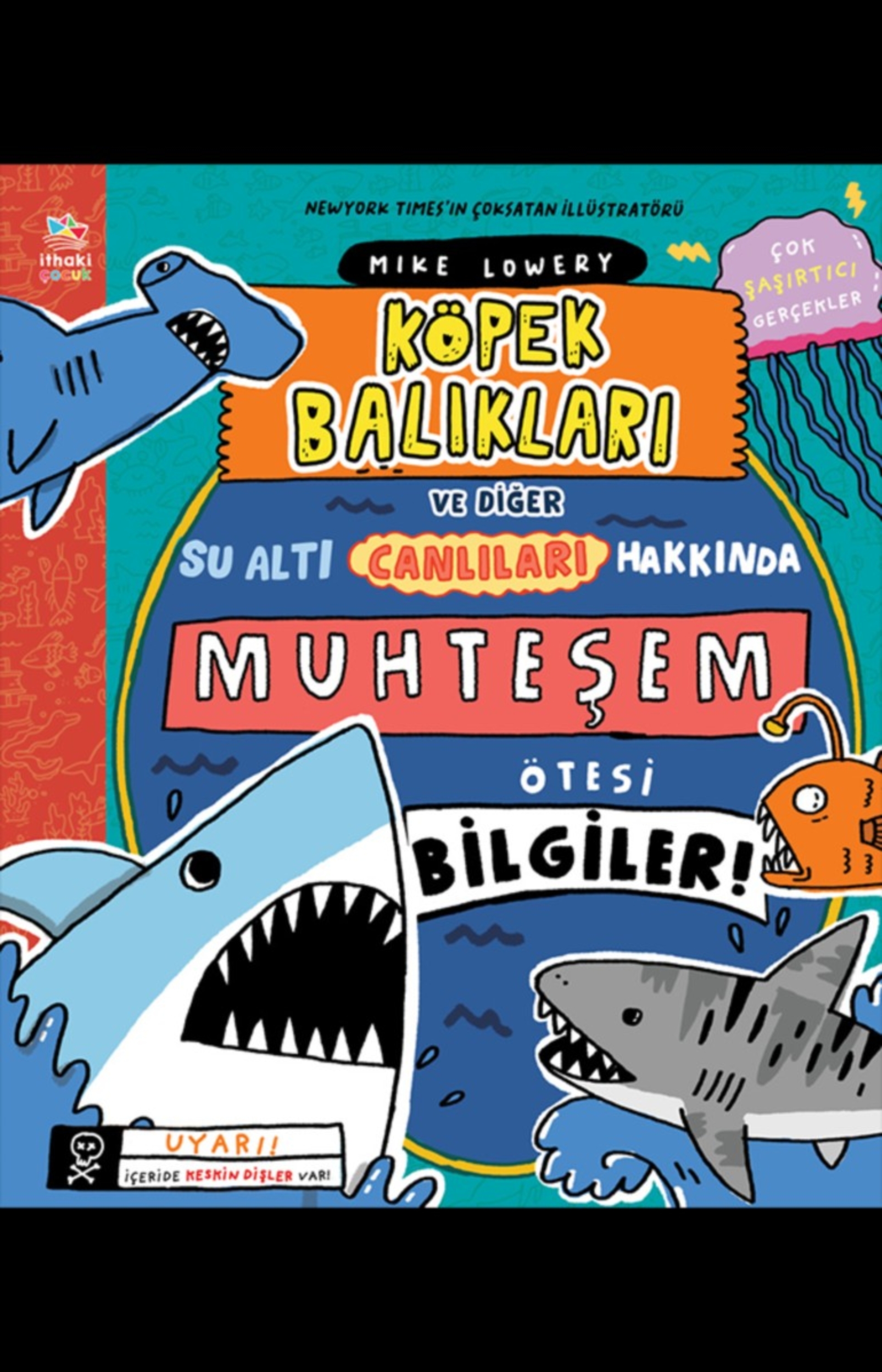 Resim Köpek Balıkları Ve Diğer Su Altı Canlıları Hakkında Muhteşem Ötesi Bilgiler!