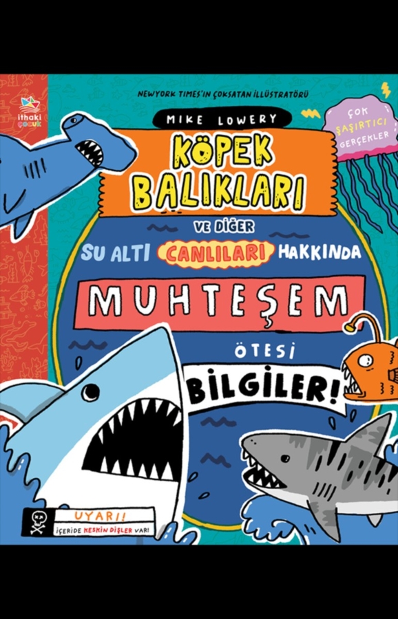 Resim Köpek Balıkları Ve Diğer Su Altı Canlıları Hakkında Muhteşem Ötesi Bilgiler!
