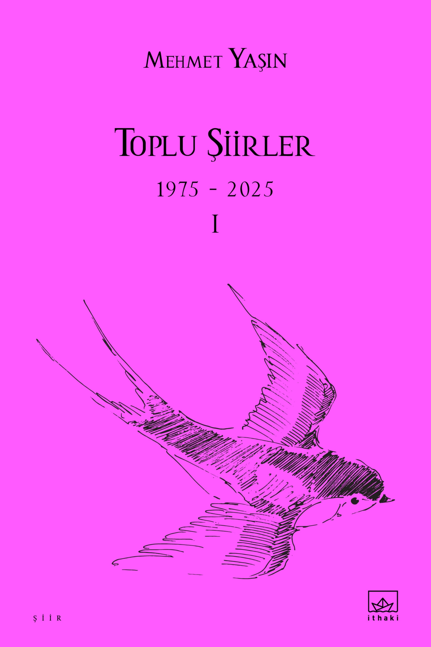 Resim Toplu Şiirler I