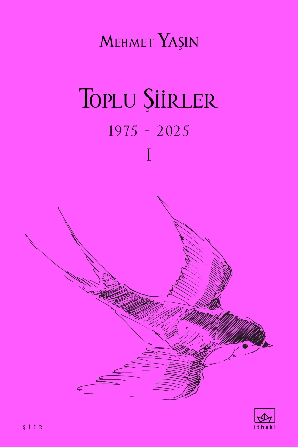 Resim Toplu Şiirler I