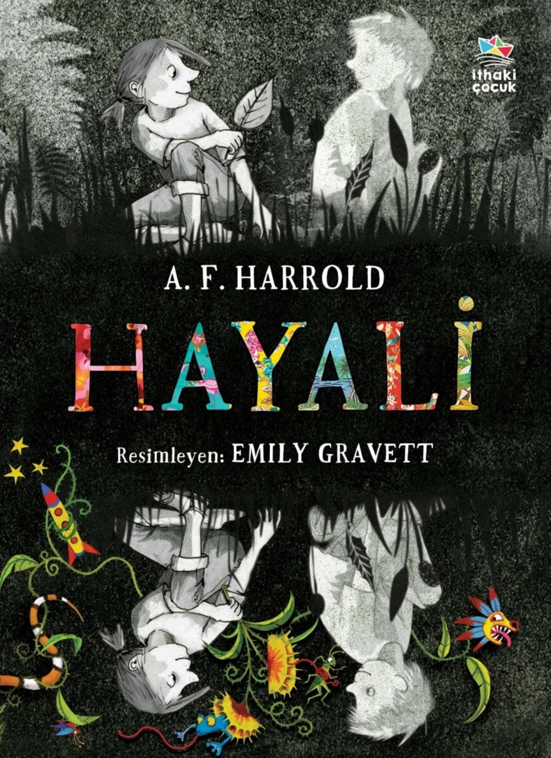 Resim Hayali