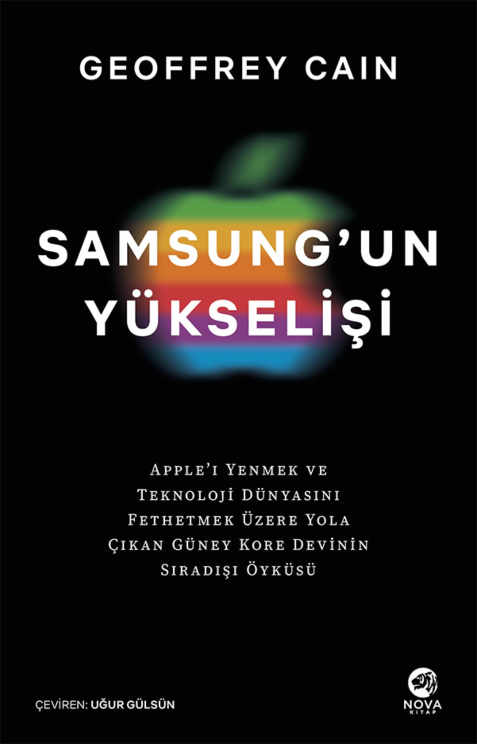 Resim Samsung'un Yükselişi