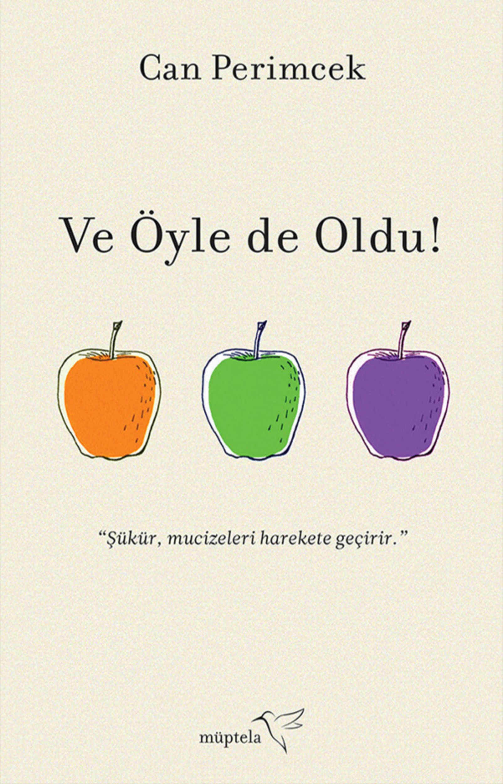 Resim Ve Öyle De Oldu