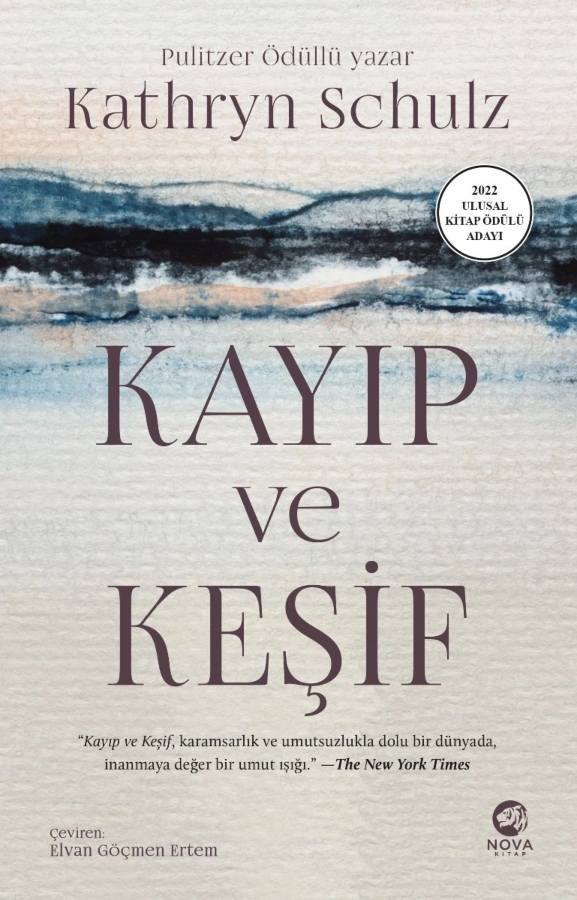 Resim Kayıp Ve Keşif
