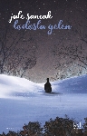 Resim Lodosla Gelen