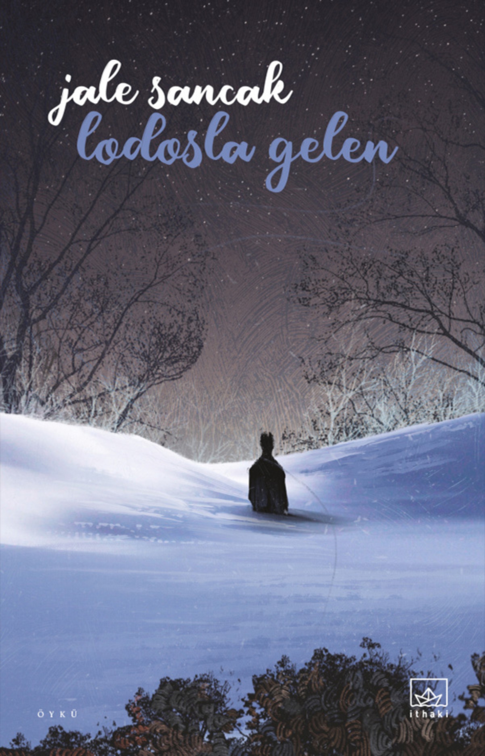 Resim Lodosla Gelen