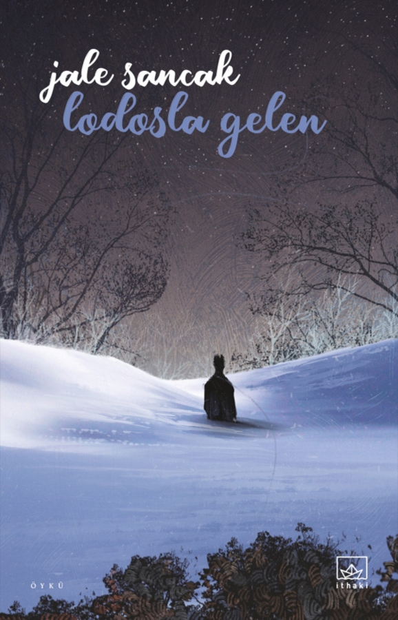 Resim Lodosla Gelen