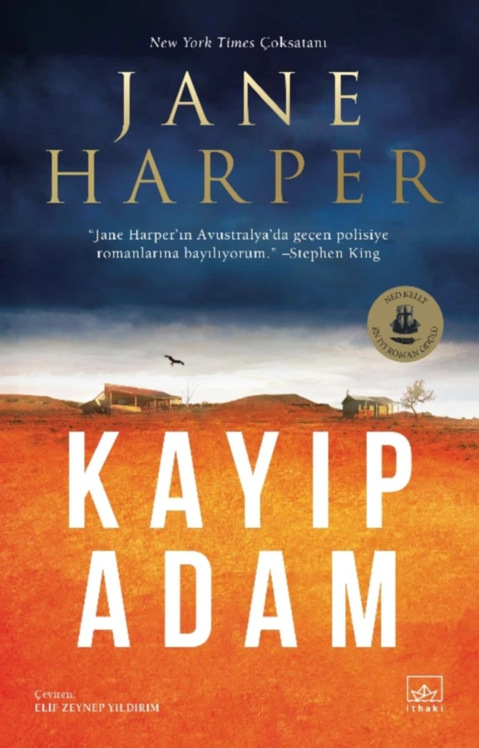 Resim Kayıp Adam