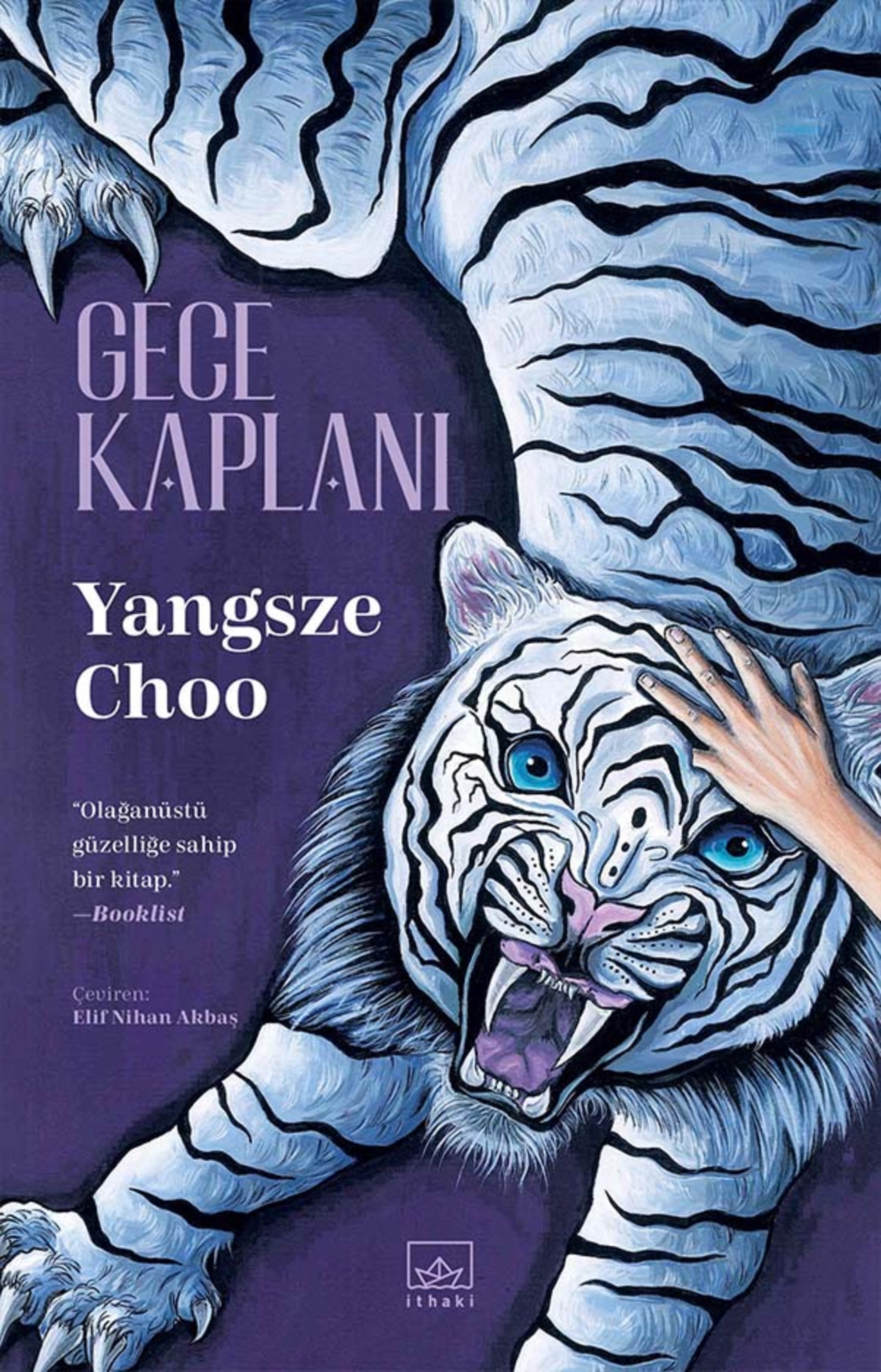 Resim Gece Kaplanı
