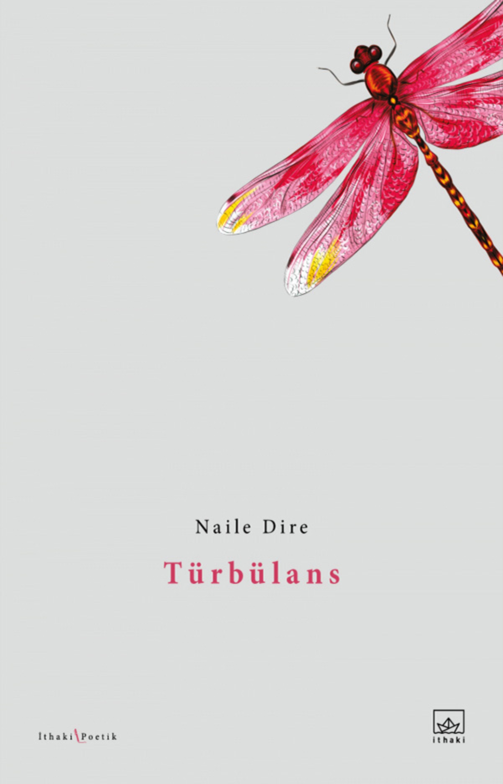 Resim Türbülans