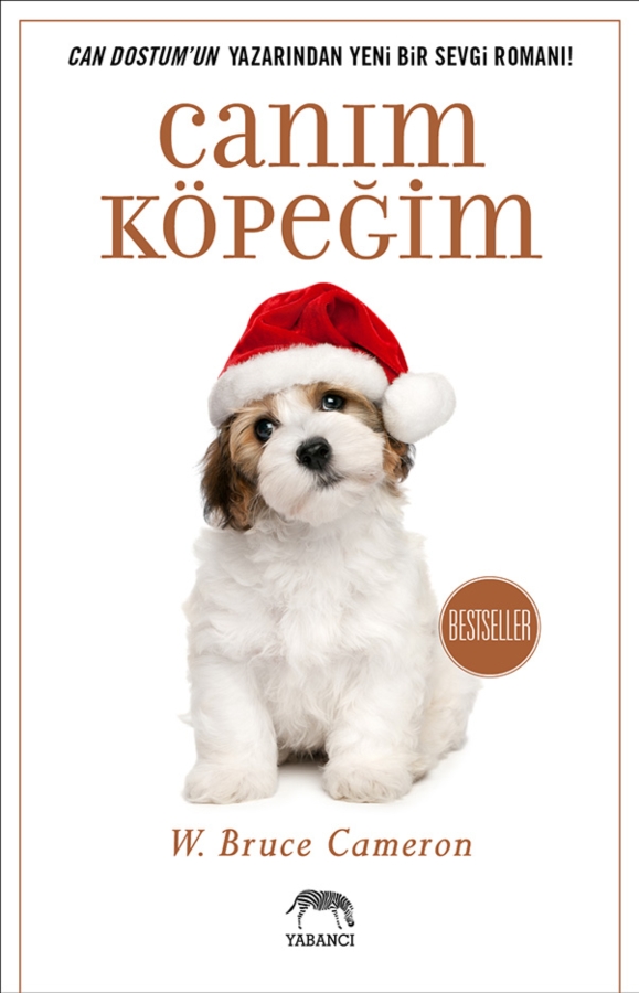 Resim Canım Köpeğim