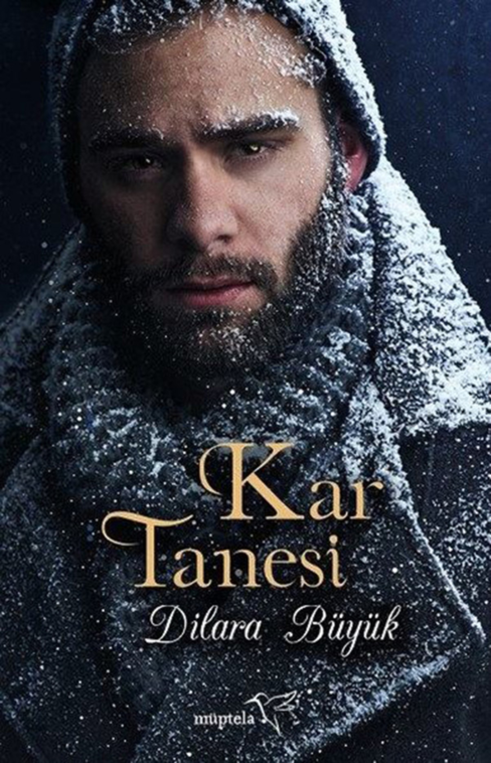 Resim Kar Tanesi