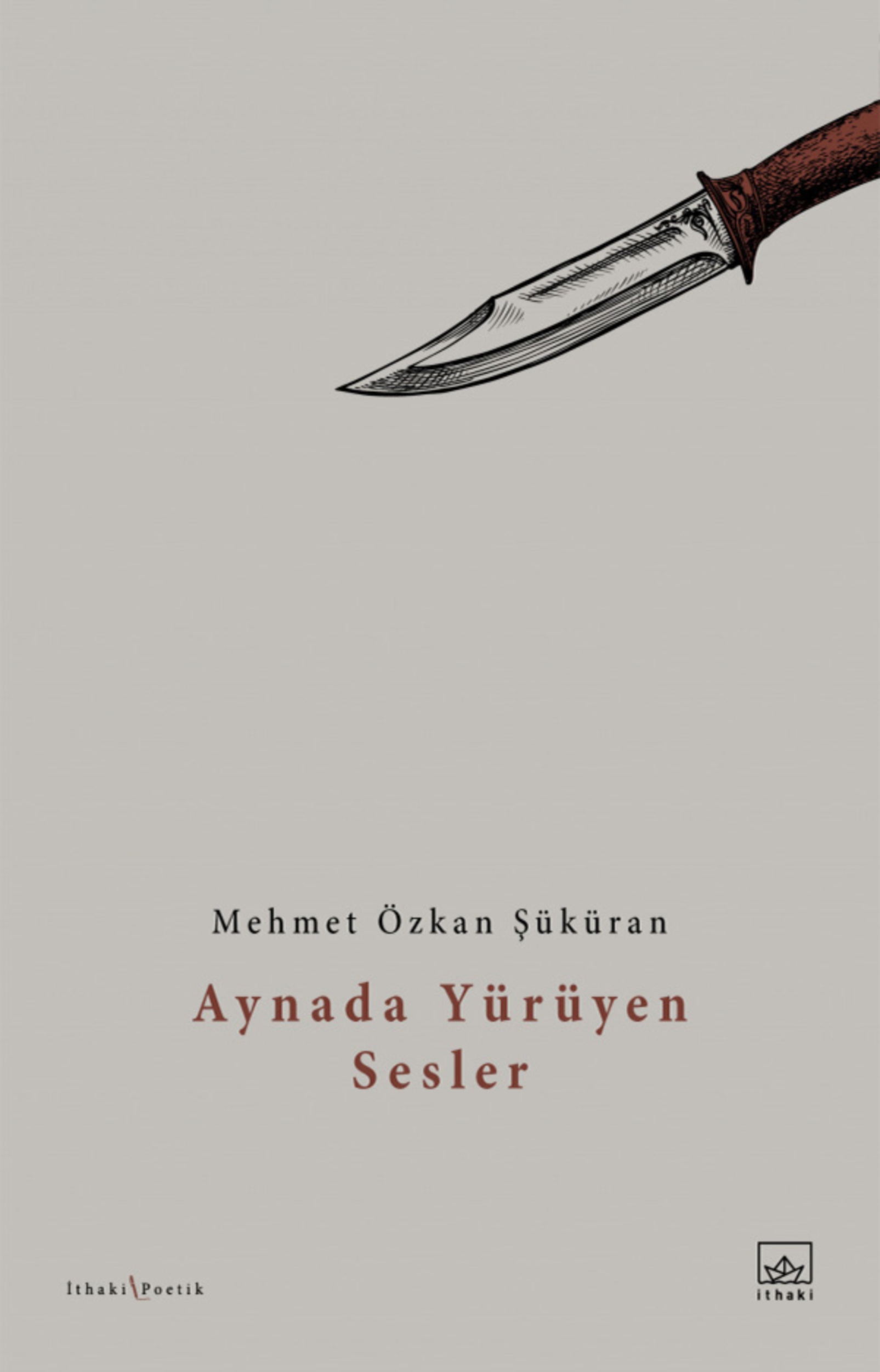 Resim Aynada Yürüyen Sesler
