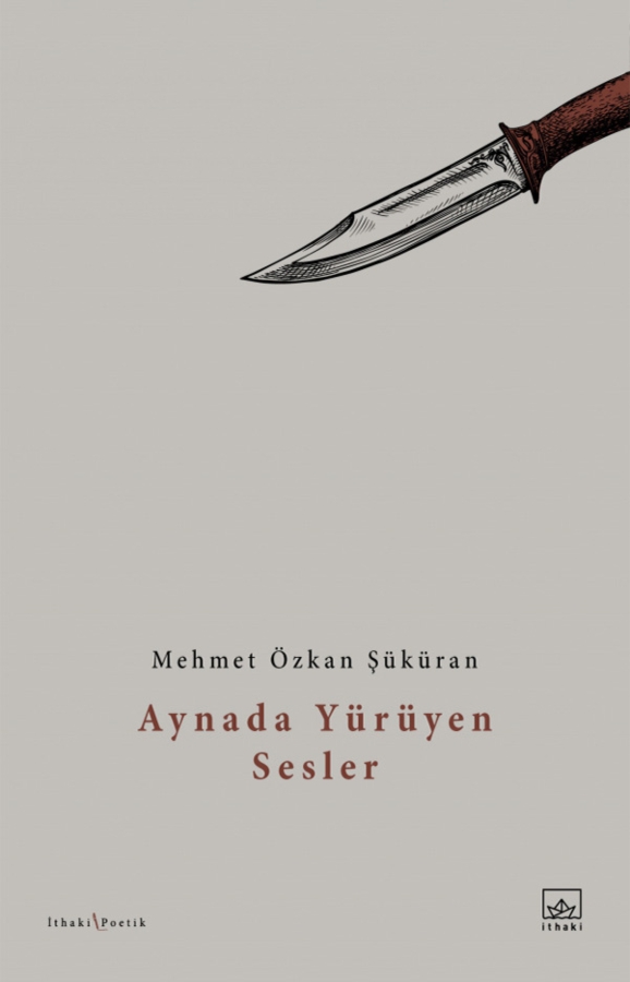 Resim Aynada Yürüyen Sesler