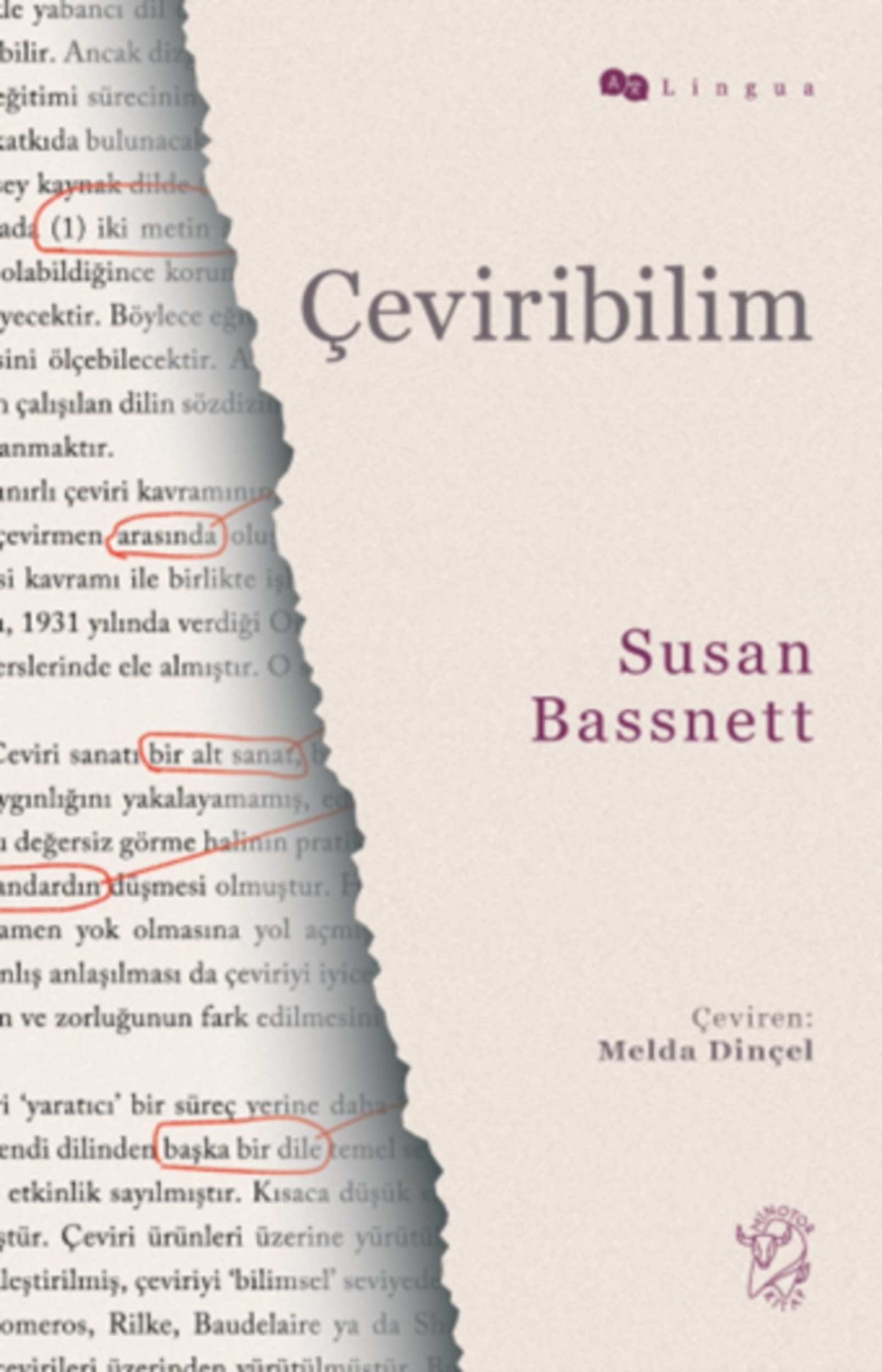 Resim Çeviribilim